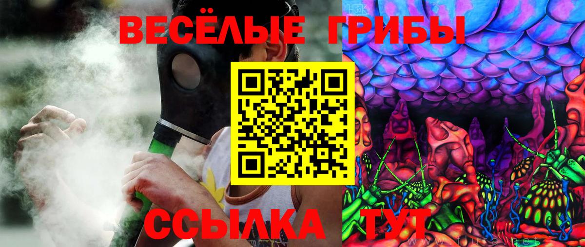 Галлюциногенные грибы Cubensis Камышин